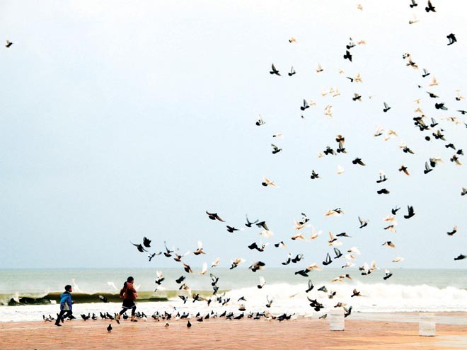 “Đại lộ” chủ quyền - ảnh 1